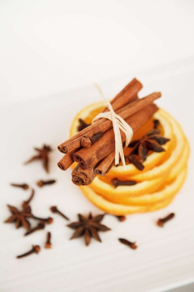 cinnamon sticks, star anise, orange slices-2926.jpg